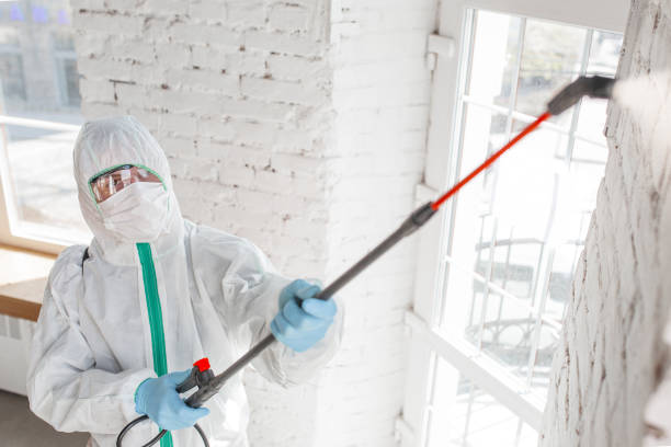 Best Asbestos and Lead Testing During Mold Inspection  in Mission Nyon, CA