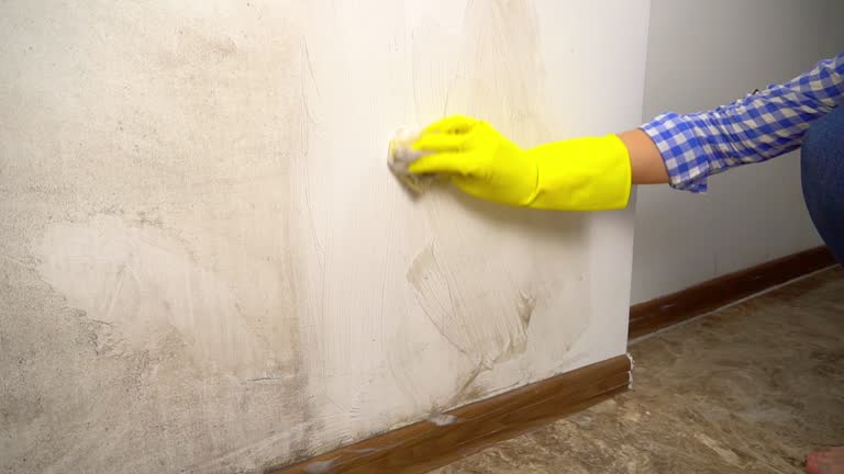 Best Biohazard Mold Removal  in Mission Nyon, CA